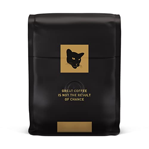 Intelligentsia-Kaffee, mittelstark gerösteter Kaffee aus ganzen Bohnen – Black Cat Espresso, 12-Unzen-Beutel mit Geschmacksnoten von Steinobst, dunklem Zucker und dunkler Schokolade