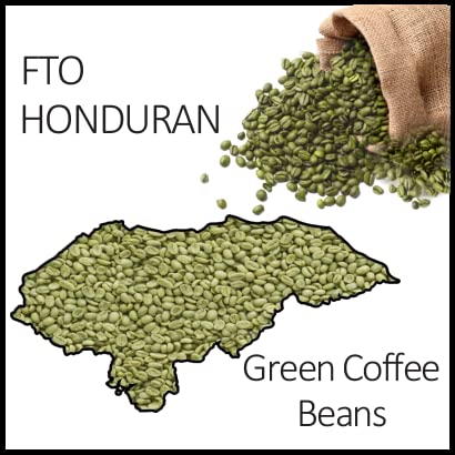 FTO Honduran Green Beans 1lb, 16oz bag, Organic