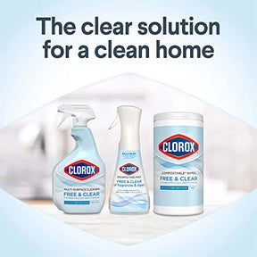 Clorox Free &amp; Clear Desinfektionsnebel, Haushaltsbedarf, 1 Sprühflasche und 1 Nachfüllpackung, je 14 Fl Oz