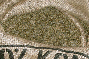 Rococo Roasters 1 lb Hawaii Hawaiian Kona Extra Fancy Coffee Beans, Fresh, Authentic!