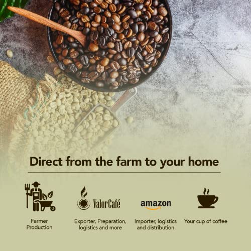 Unroasted Green Coffee Beans │ Specialty Grade Arabica Coffee for Home Roasting │ Brazil │ Maximum Freshness & Rich Flavor | DIRECT FROM THE FARM | Limited Edition Nº 3 │ 3lb 1.36kg