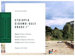 Grand Parade Coffee, 3 Lbs Organic Ethiopian Sidamo Guji Unroasted Green Coffee Beans, Grade 1 Specialty Arabica - Fair Trade Single Origin