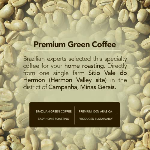 Unroasted Green Coffee Beans │ Specialty Grade Arabica Coffee for Home Roasting │ Brazil │ Maximum Freshness & Rich Flavor | DIRECT FROM THE FARM | Limited Edition Nº 3 │ 3lb 1.36kg