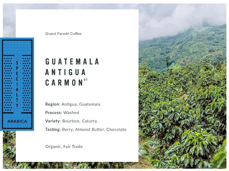 Grand Parade Coffee, 3 Lbs Organic Guatemala Antigua Unroasted Green Coffee Beans, Low Acid Specialty Arabica, Fair Trade Single Origin