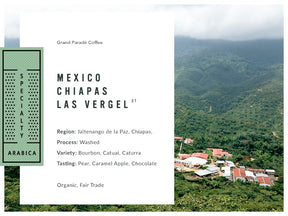 Grand Parade Coffee, 5 Lbs Organic Mexico Chiapas Unroasted Green Coffee Beans, Low Acid Single Origin, Specialty Arabica - Fair Trade