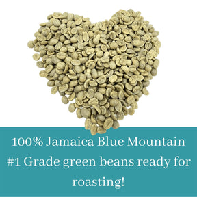 Fus Light 100 Percent Grade 1 Jamaican Blue Mountain Unroasted Green Coffee Beans Arabica Typica 1lb Bag