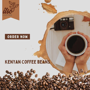 Premium Kenyan Medium Roast Coffee Beans | 100% Arabica AA Specialty Roasted | Whole Bean Peak Natural Flavor | 250g Bag