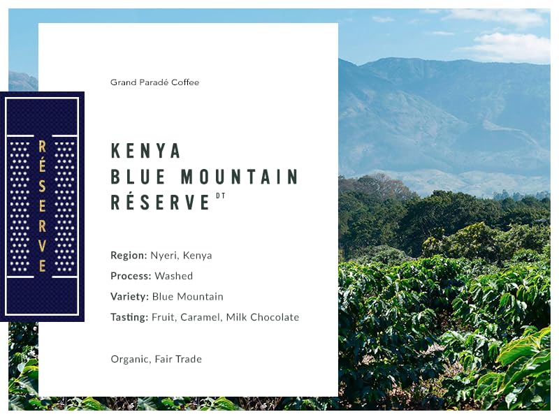 Grand Parade Coffee, 5 Pfund ungeröstete grüne Kaffeebohnen aus Bio-Kenia Blue Mountain, 100 % Prime Grade 1, Spezial-Arabica – Fair Trade Single Origin