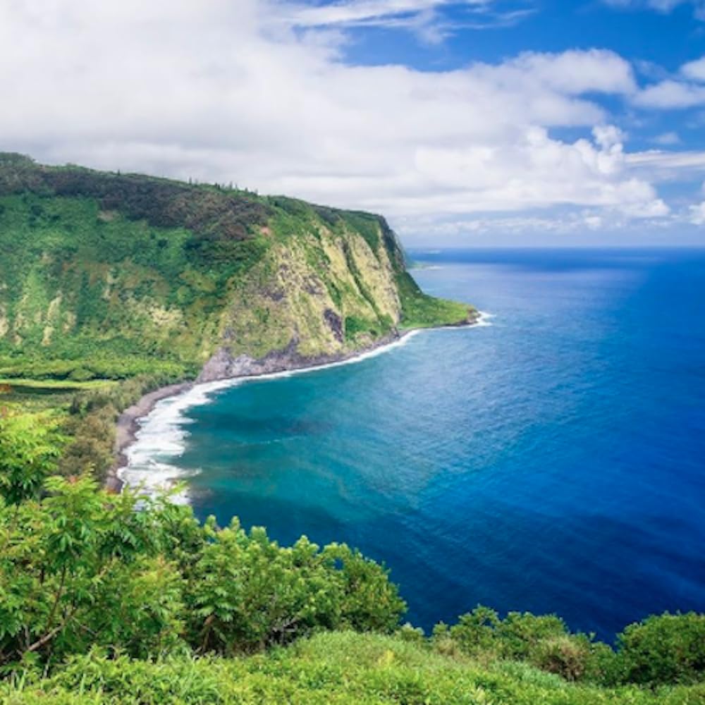 Lion Coffee gemahlener Kaffee mit Vanille-Macadamia-Geschmack, leichte Röstung, hawaiianisch inspirierter Geschmack – 10-Unzen-Beutel