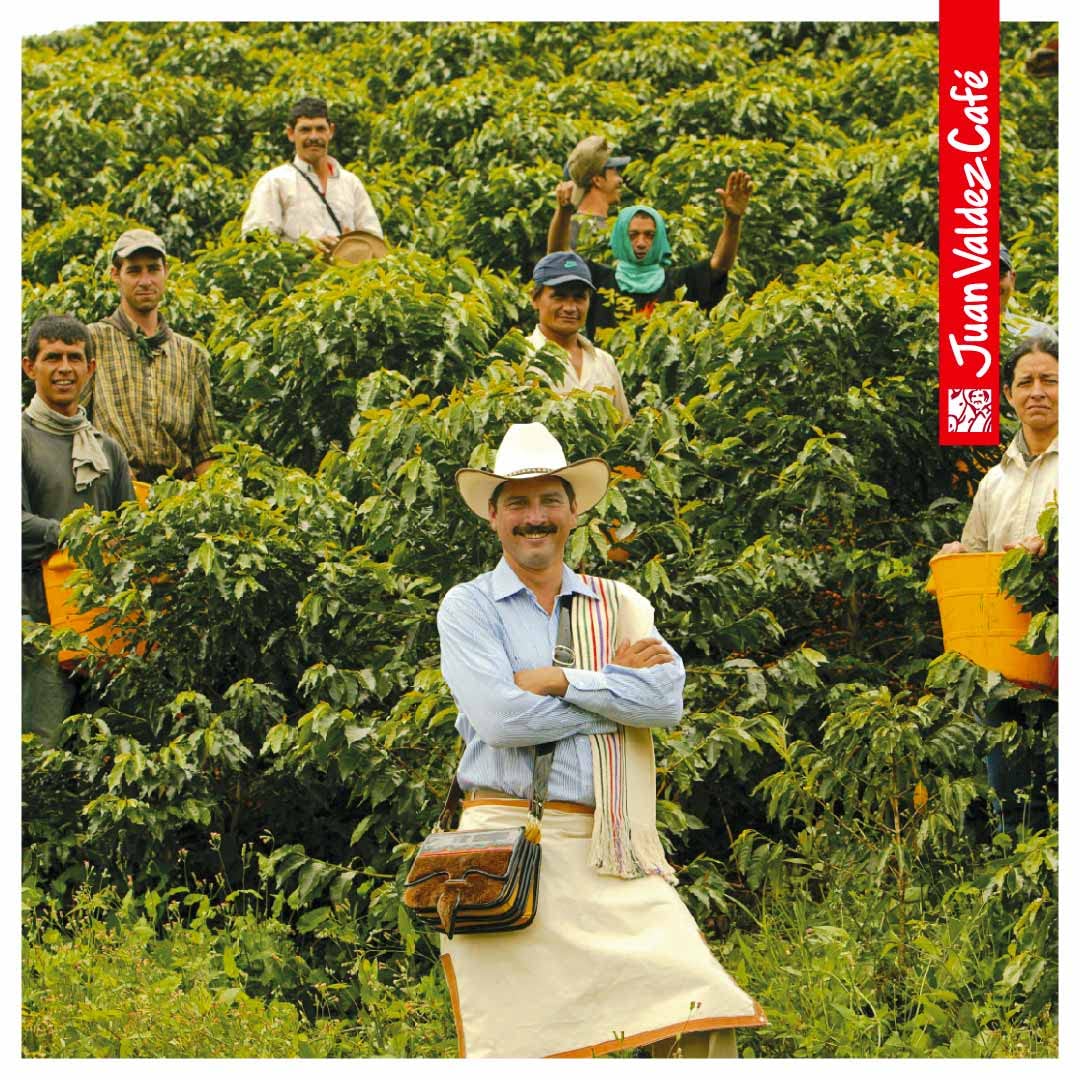 Juan Valdez Cumbre Whole Bean Coffee, Dark Roast 16 oz - Premium Colombian Coffee