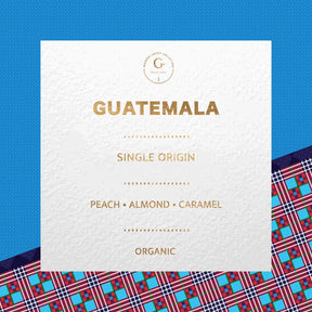 Grand Parade Coffee, 5 Pfund ungeröstete grüne Bio-Kaffeebohnen aus Guatemala, Spezial-Arabica mit niedrigem Säuregehalt, Fair-Trade-Einzelherkunft