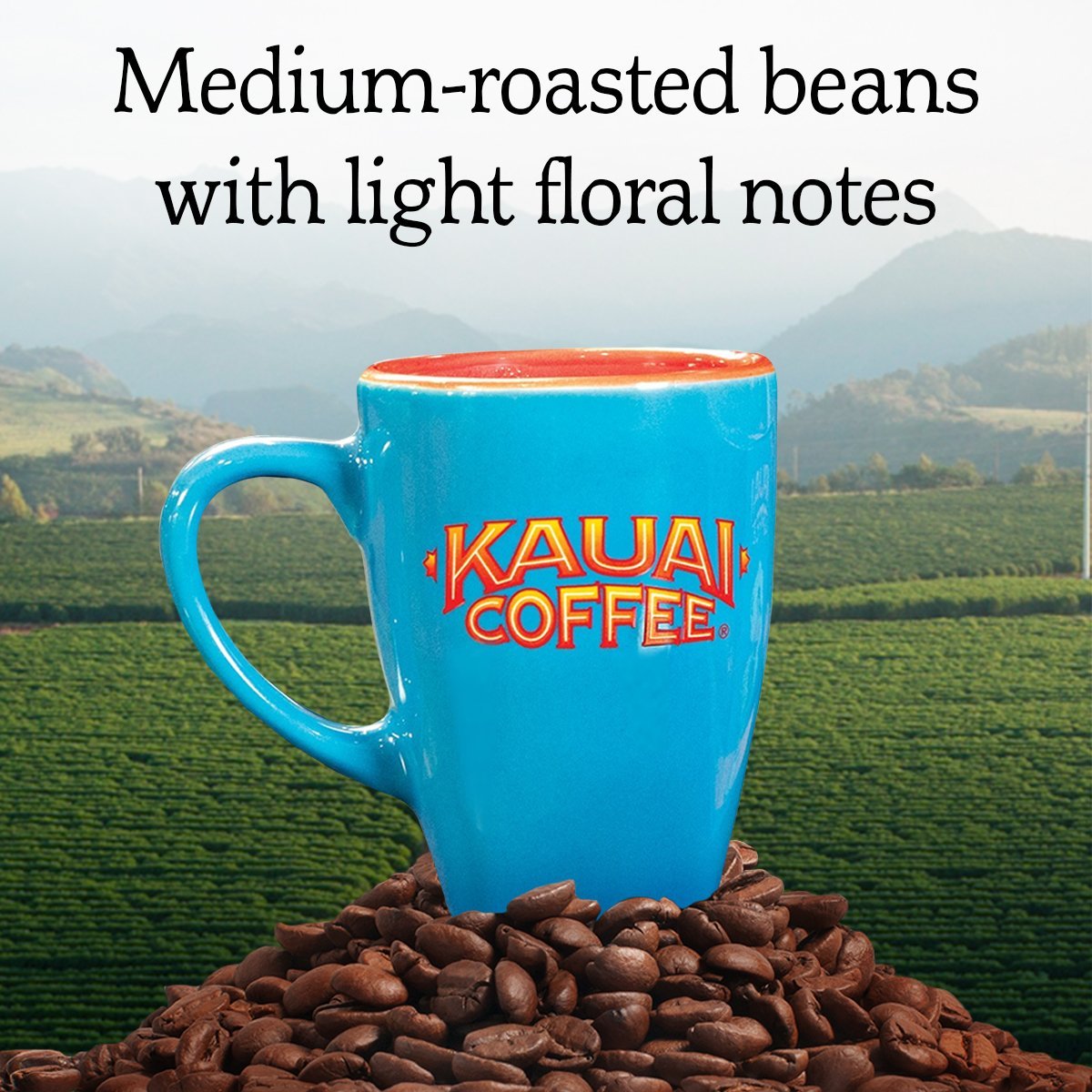 Kauai Coffee Koloa Estate Medium Roast - Whole Bean Coffee, 24 oz. Package