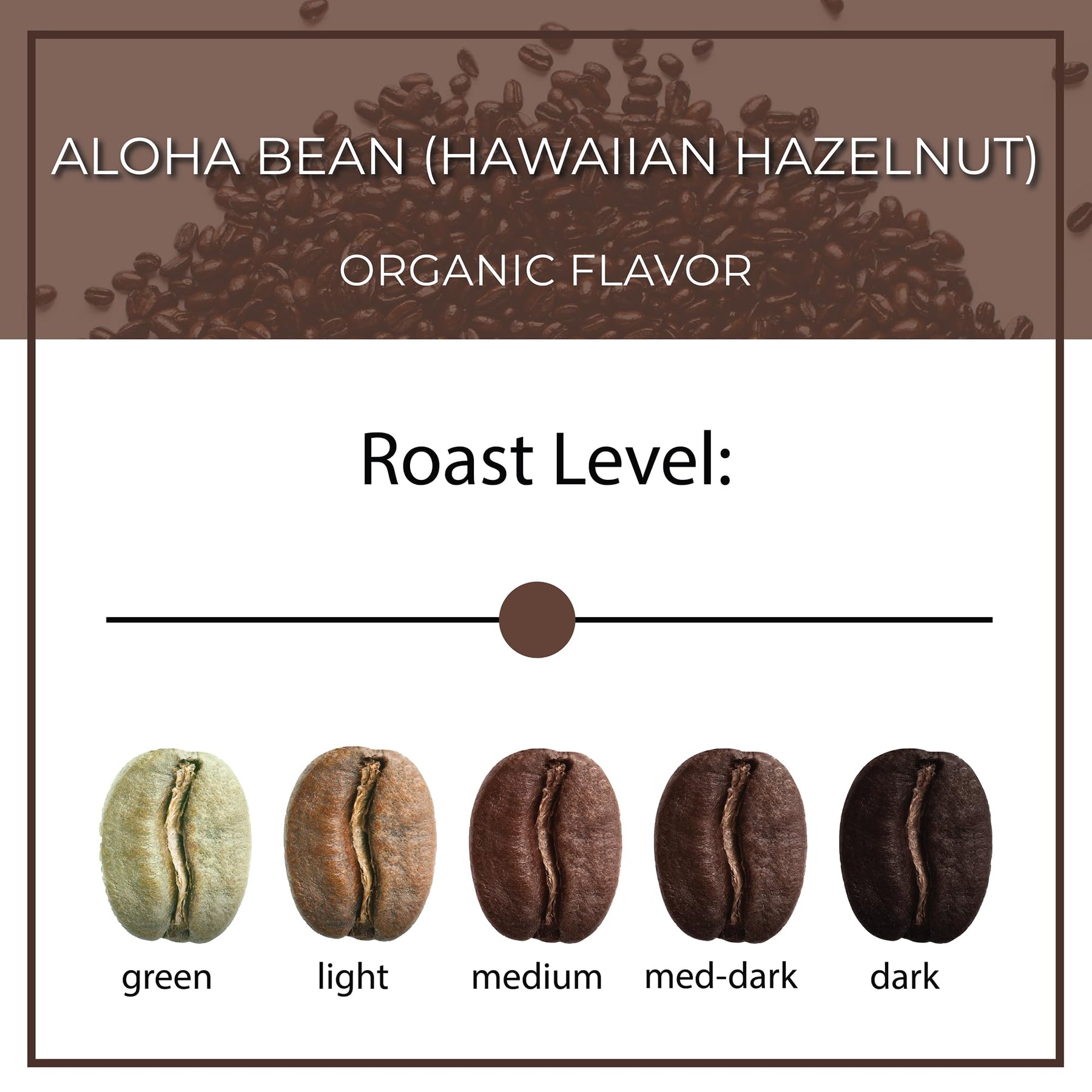 The Bean Organic Coffee Company Aloha Bean (Hawaiian Hazelnut), Medium Roast, Whole Bean Coffee, 5-Pound Bag