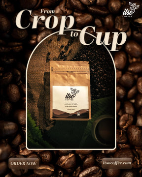 Premium Kenyan Medium Roast Coffee Beans | 100% Arabica AA Specialty Roasted | Whole Bean Peak Natural Flavor | 250g Bag