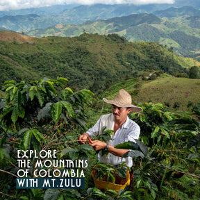 Mt. Zulu Colombian Supremo Kaffeebohnen – mittlere Röstung, 100 % Arabica, Gourmet-Qualität, 83,5 Tassen Punkte, ausgewogen und mild, frisch geröstet im Februar 2025, 12 oz Beutel