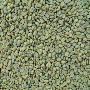 Grand Parade Coffee, 3 Lbs Organic Ethiopian Yirgacheffe Unroasted Green Coffee Beans, Grade 1 Specialty Arabica, Fair Trade Single Origin