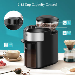 Wancle Burr Coffee Grinder Flat Burr Coffee Grinder with 28-Setting, Precise Grinding with 2-12 Cup Capacity, Easy to Clean, Compact and Space-Saving Design