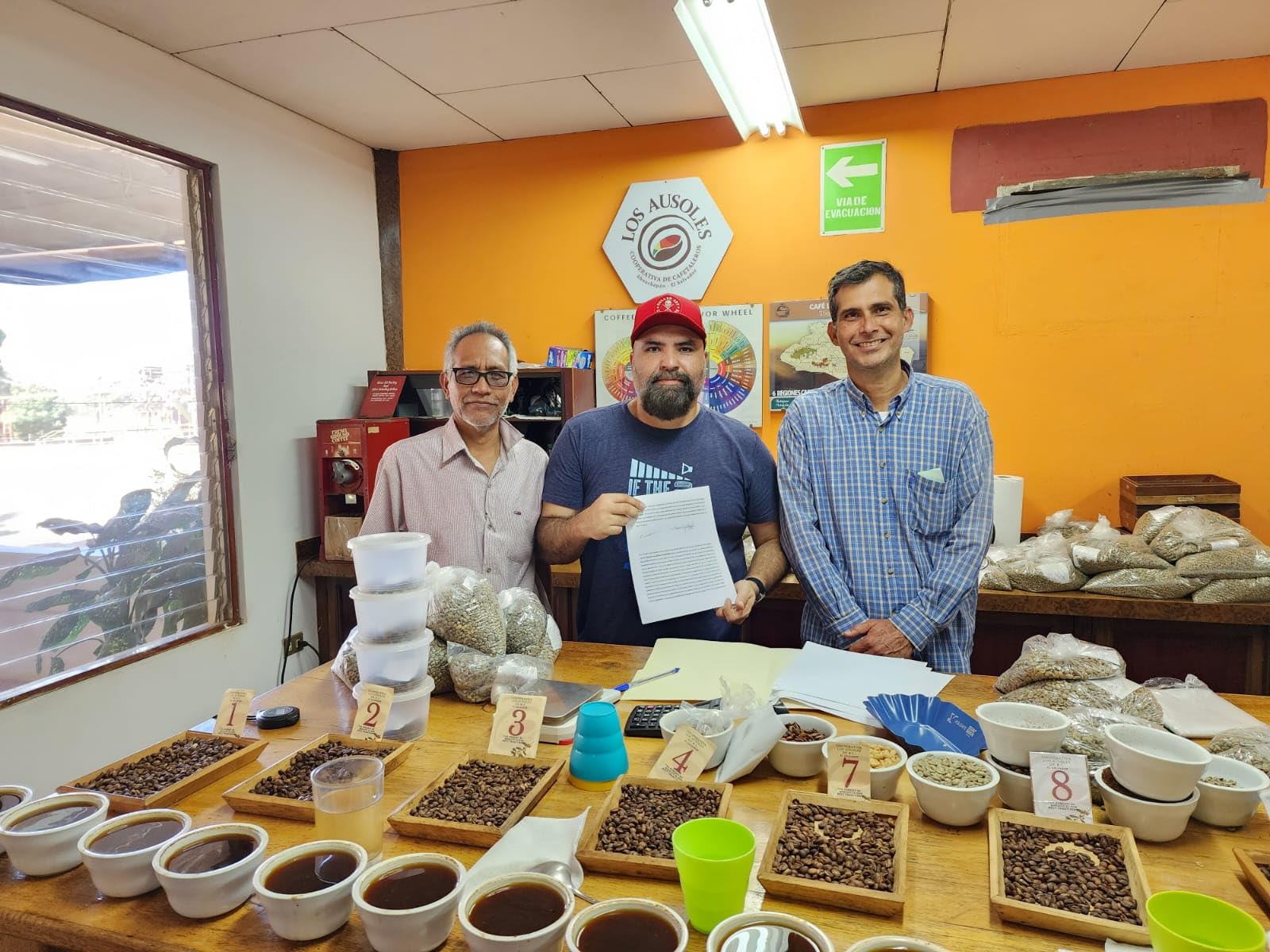 Grüne, ungeröstete Kaffeebohnen von Tesoros Del Pais, Ahuachapan, El Salvador, Single Estate High Elevation (mit Honig gewaschen, 3 lb)