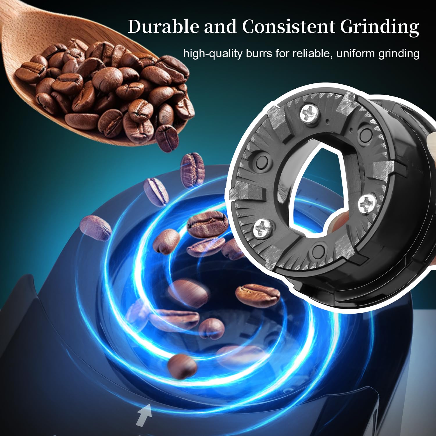 Wancle Burr Coffee Grinder Flat Burr Coffee Grinder with 28-Setting, Precise Grinding with 2-12 Cup Capacity, Easy to Clean, Compact and Space-Saving Design