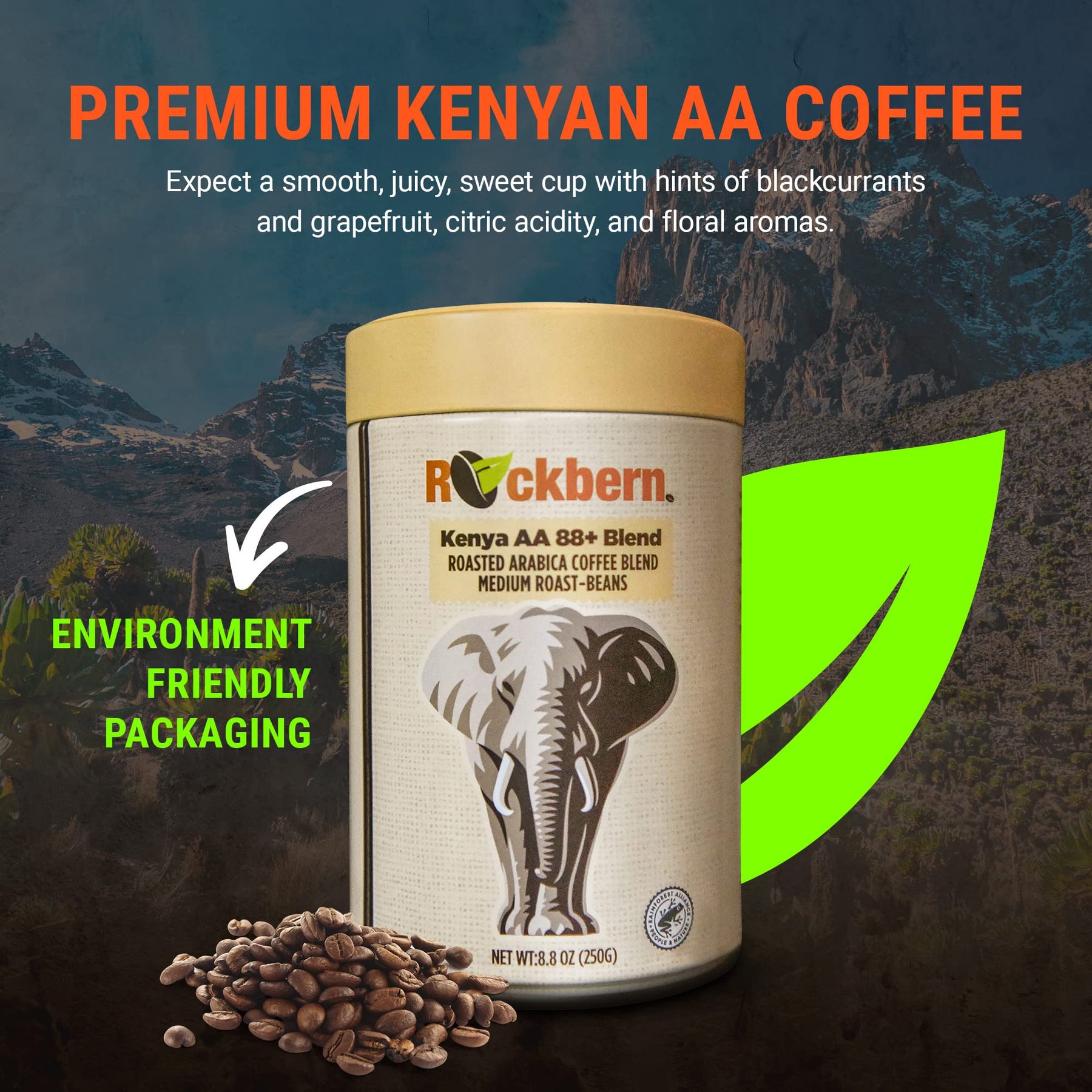 Rockbern Mt Kenya AA 88+ Kaffeebohnen – mittelstark geröstete kenianische AA-Arabica-Mischung, ganze Bohnen, 250 g – Rainforest Alliance-zertifiziert