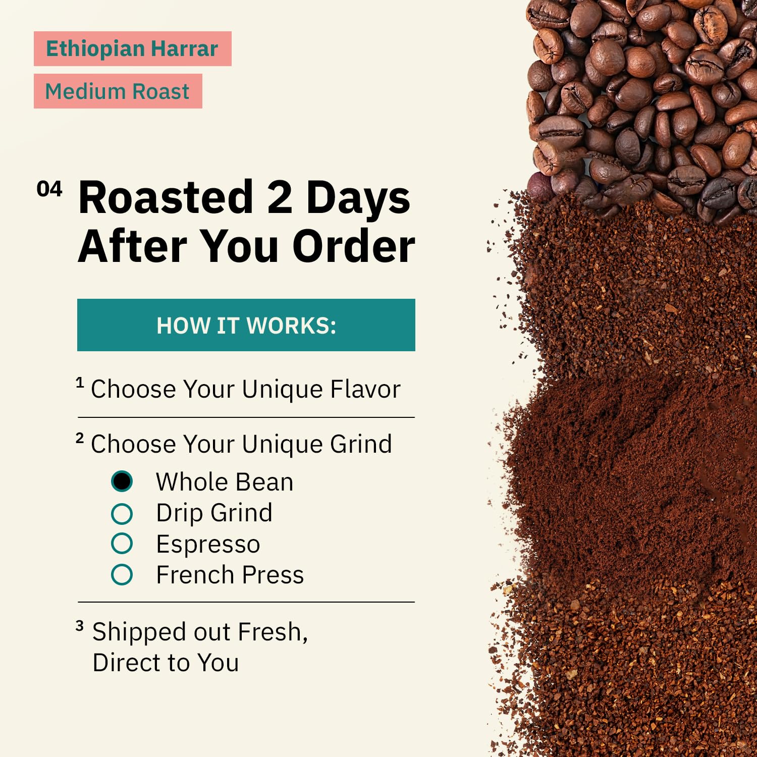 Organic Ethiopian Whole Bean Coffee Medium Roast - 12 oz, Single Origin Ethiopian Harrar Coffee Beans, Specialty Coffee, Fair Trade, Chocolate & Fruity Notes - Roasted To Order