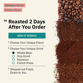 Organic Ethiopian Whole Bean Coffee Medium Roast - 12 oz, Single Origin Ethiopian Harrar Coffee Beans, Specialty Coffee, Fair Trade, Chocolate & Fruity Notes - Roasted To Order