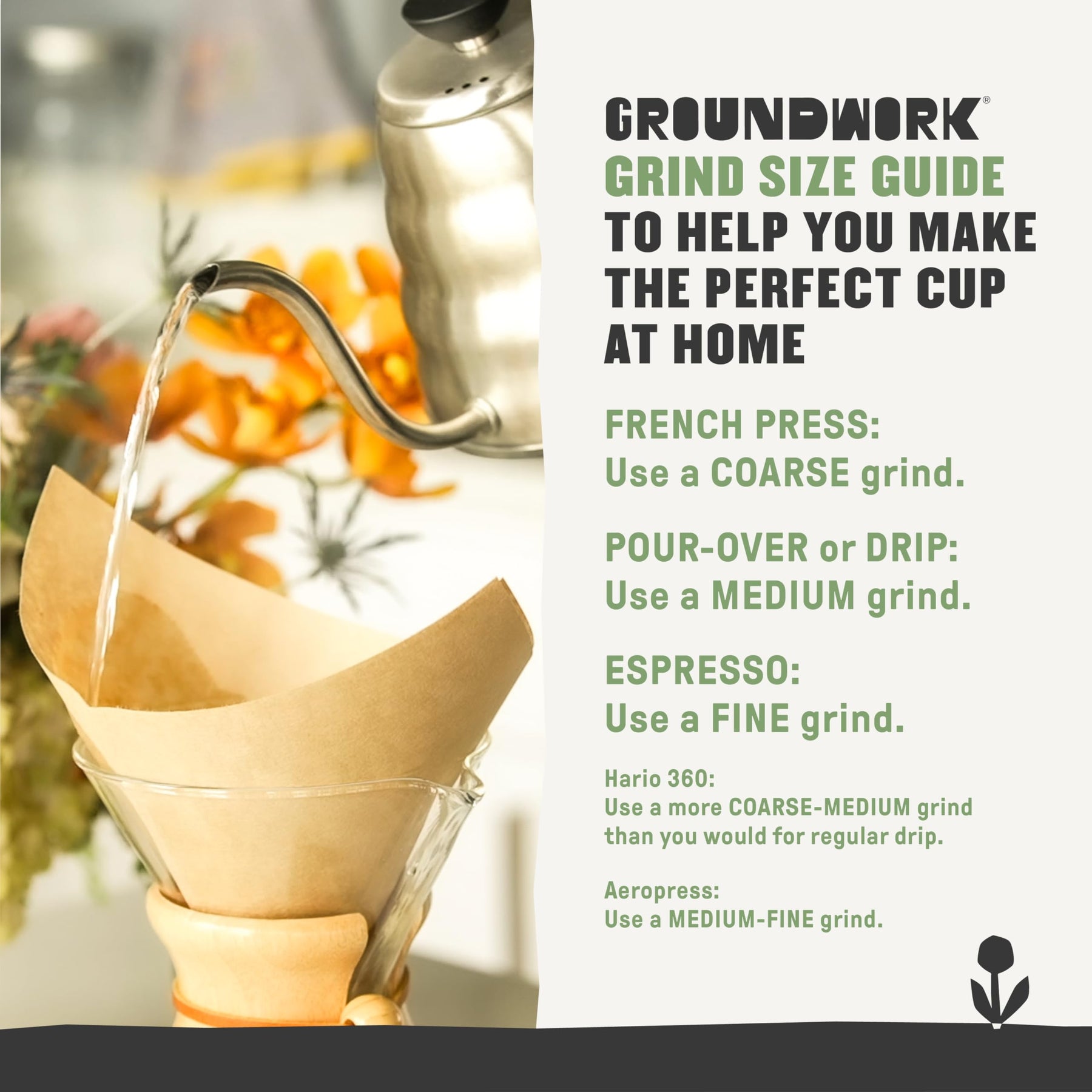 GROUNDWORK - Ethiopia Heirloom Blend Whole Bean Coffee, Light Roast - Certified Organic Single Origin - 12oz Bag