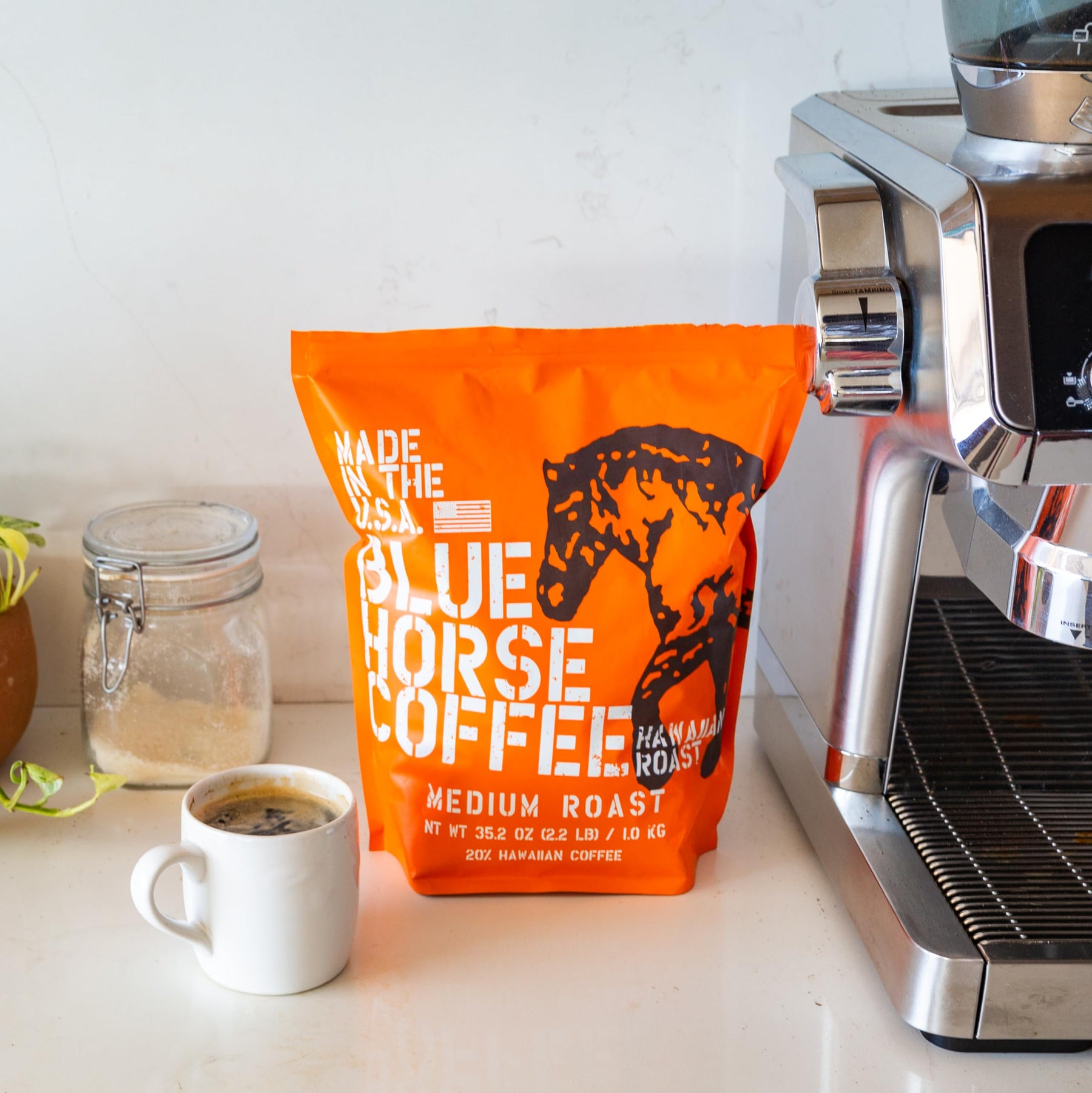 Blue Horse Hawaiian Coffee Beans - (20% Hawaii Roast Blend) Arabica Whole Bean Coffee Medium Roast 2.2 Lb (35oz), Farm-fresh: Blue Horse 'Gentle Giant' Whole Beans from Hawaii