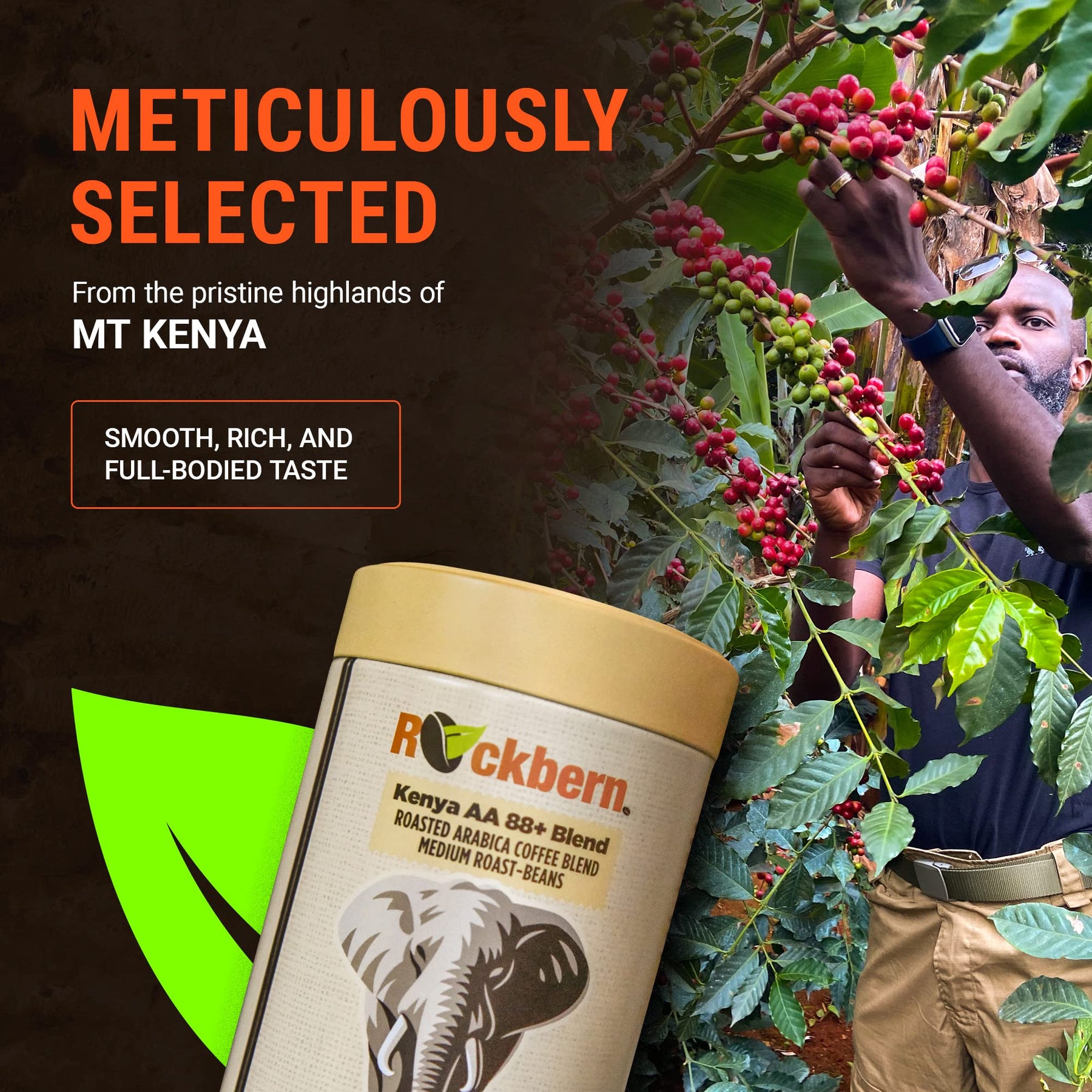 Rockbern Mt Kenya AA 88+ Kaffeebohnen – mittelstark geröstete kenianische AA-Arabica-Mischung, ganze Bohnen, 250 g – Rainforest Alliance-zertifiziert