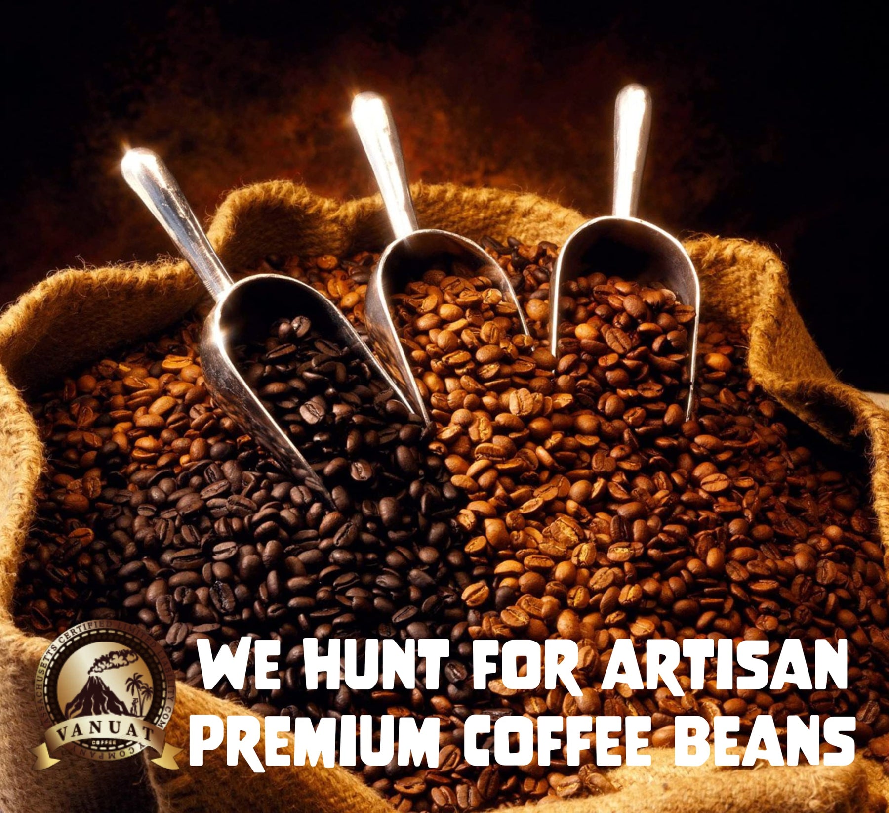 MEDIUM ROAST Whole Bean Coffee Volcanic Cult Vanuat Organic Supreme Finest Artisan COFFEE Beans for Drip Coffee Cold Brew Espresso French Press Turkish Brew Dark Medium Light Roast from Vanuatu Sumatra Ethiopia Ethiopian Brazil Brazilian Kenya Kenyan Papu