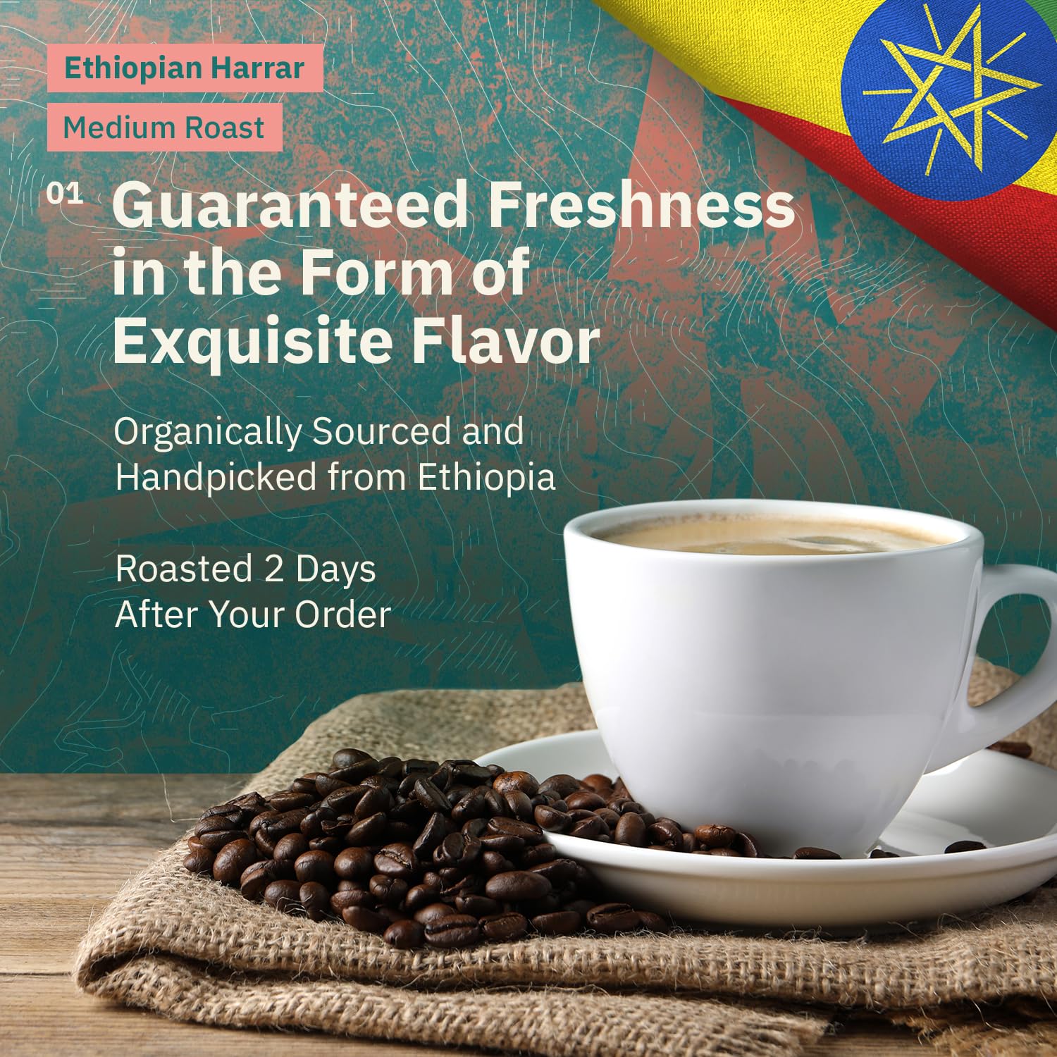 Organic Ethiopian Whole Bean Coffee Medium Roast - 12 oz, Single Origin Ethiopian Harrar Coffee Beans, Specialty Coffee, Fair Trade, Chocolate & Fruity Notes - Roasted To Order