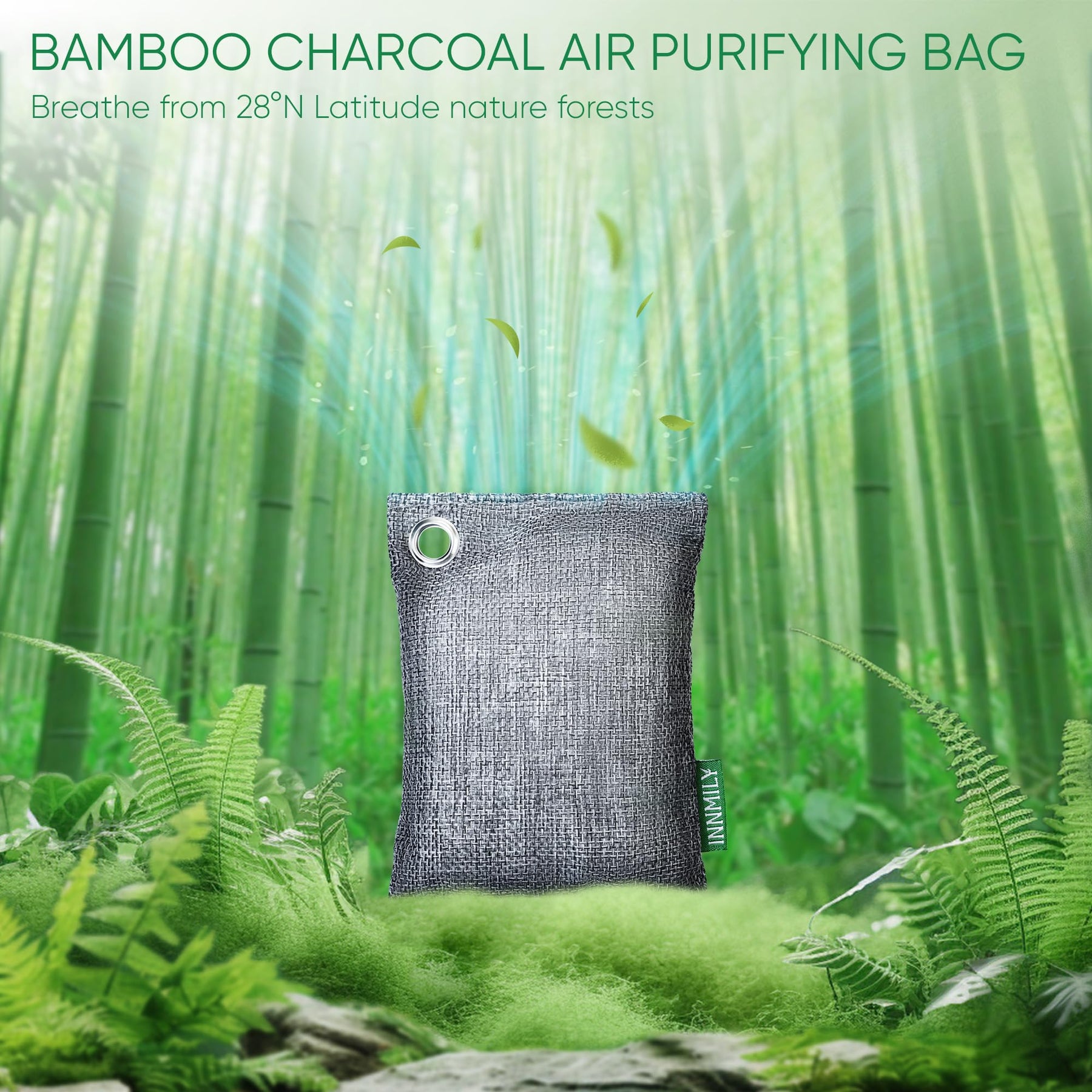 Activated Charcoal Odor Absorber, Odor Eliminator for Strong Odor,Bamboo Charcoal Air Purifying Bags for Home Car Closet Pet, Smoke Room Deodorizer (10 x 100g, Unscented)