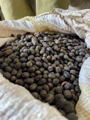 Ugandan Specialty Green Coffee Beans - AA Grade - Unroasted - Washed & Naturally Processed - Eastern Africa - Rwenzori Mountains - Organically Farmed & Relationally Sourced - 100% Arabica - SL14 & SL28 Varietal (10 LB BAG, NATURAL - DRUGAR)