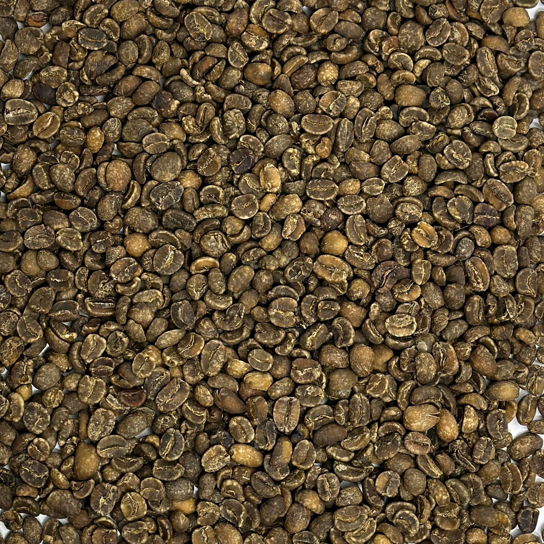 Bio-Kaffee ohne Koffein aus Guatemala – Spezialitätenkaffeebohnen, ungerösteter Rohkaffee, im Schatten angebauter Huehuetenango, Schokoladen- und Zitronennoten, ganze Bohne | Bio-Kaffeebohnen ohne Koffein, 3-Pfund-Beutel