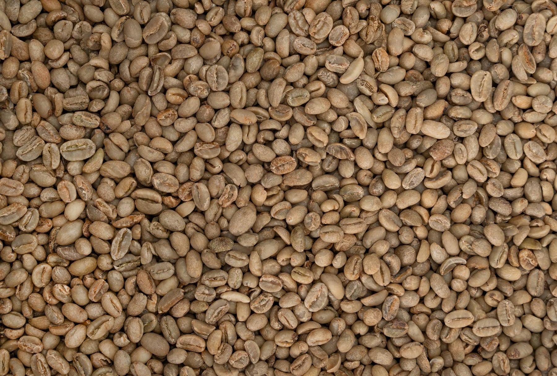 Single Origin Unroasted Green Coffee Beans, picked by BestBeansForMe, Specialty Grade, our own and partneres farm (5 lbs, Ethiopian)