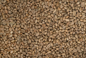 Single Origin Unroasted Green Coffee Beans, picked by BestBeansForMe, Specialty Grade, our own and partneres farm (5 lbs, Ethiopian)